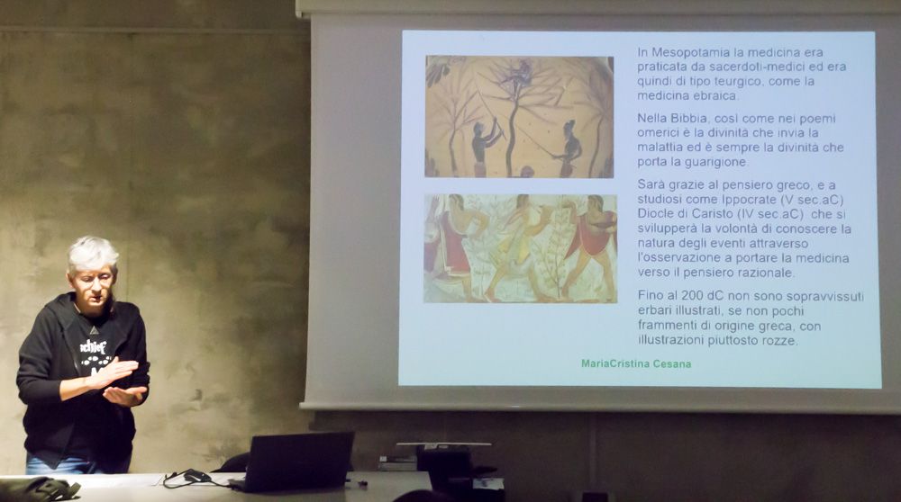 Scopri di più sull'articolo ILLUSTRAZIONE BOTANICA CON CRISTINA CESANA